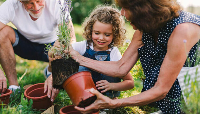 6 common gardening mistakes to avoid
