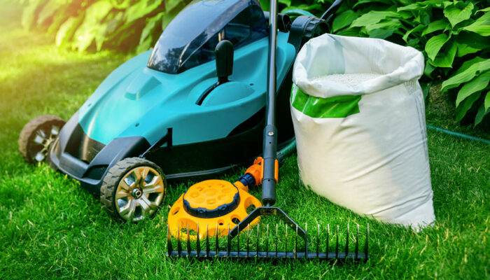 6 effective lawn care tips to maintain a green yard