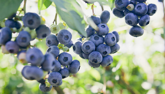 3 effective ways to manage multiple sclerosis